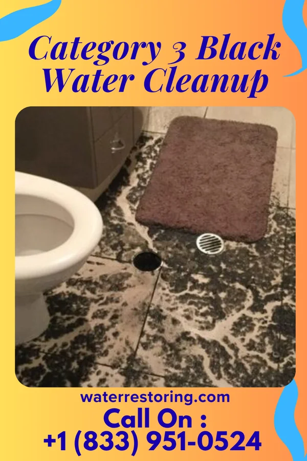 Category 3 Black Water Cleanup in East Fairview, ND