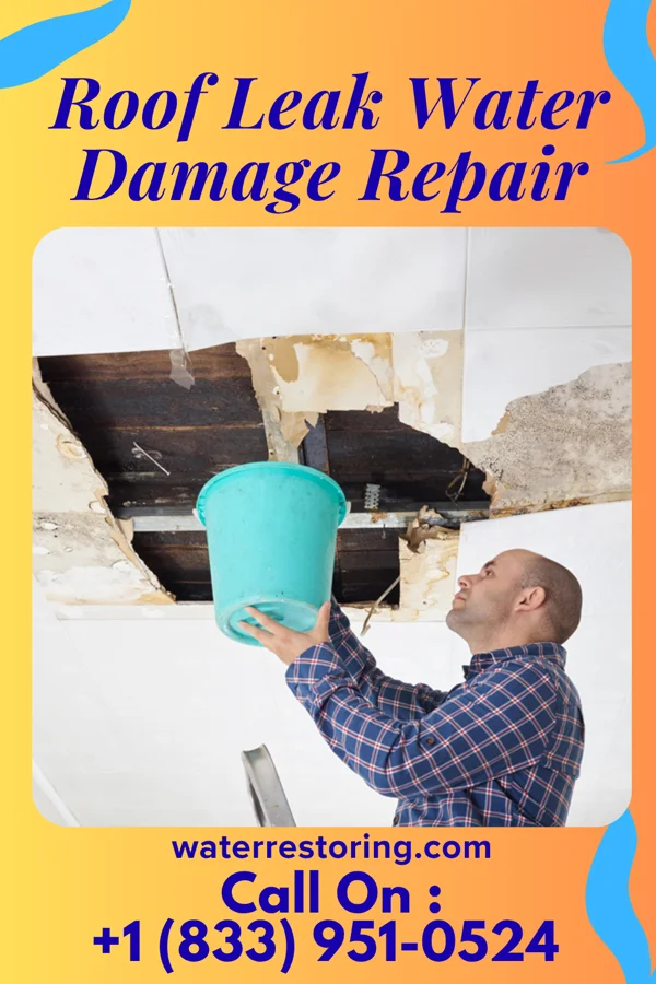Roof Leak Water Damage Repair in East Fairview, ND